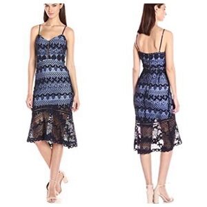 Parker Kane Lace Dress Aquarius NWT Sz L